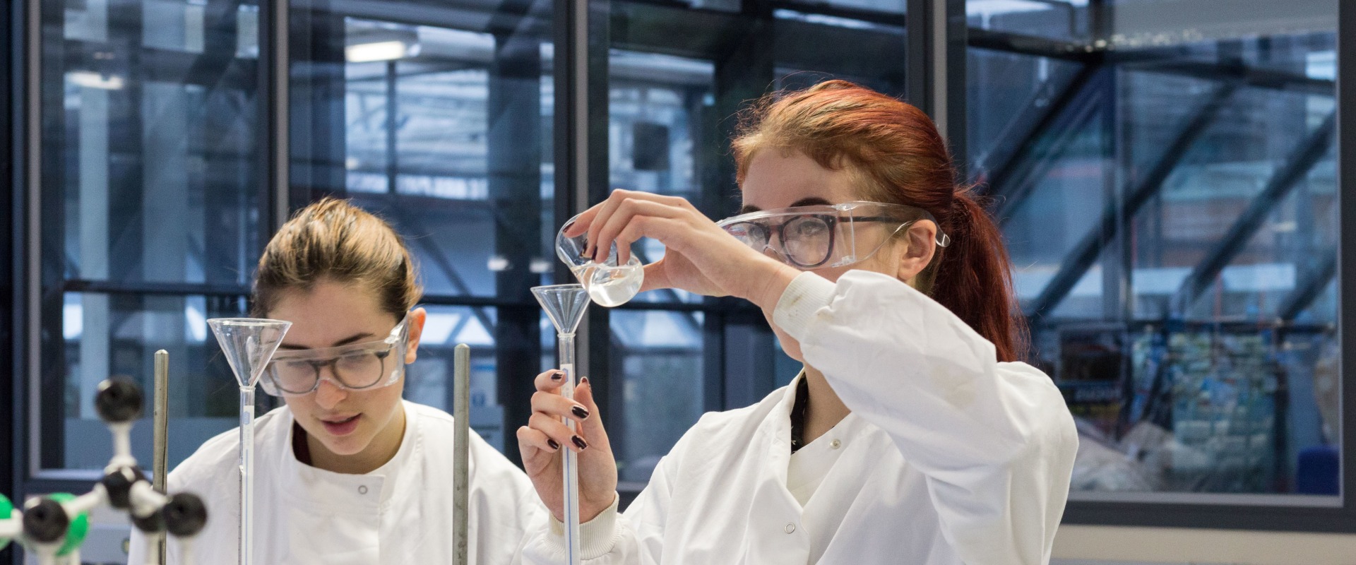 A Comprehensive Guide to Biology for GCSE Students